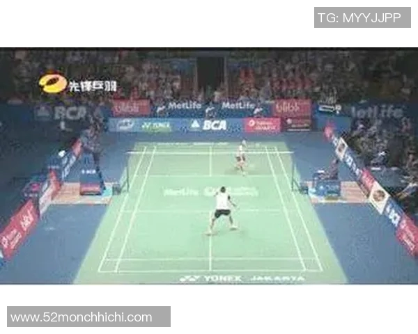 北京羽毛球队挑战赛战术分析与表现评估的深度解读