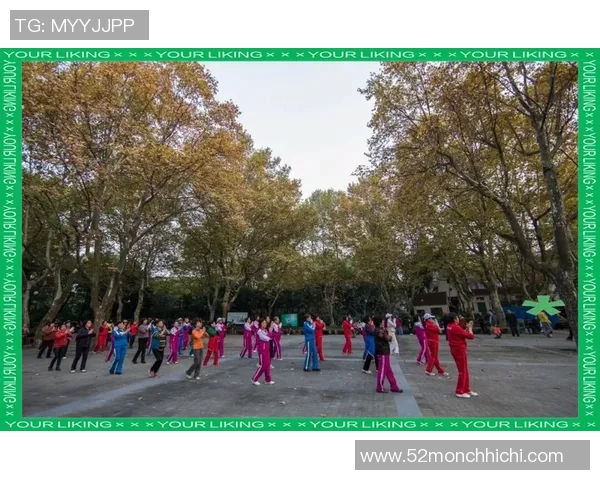 周磊独家分享篮球心得与技巧助你提升球技的全面指南